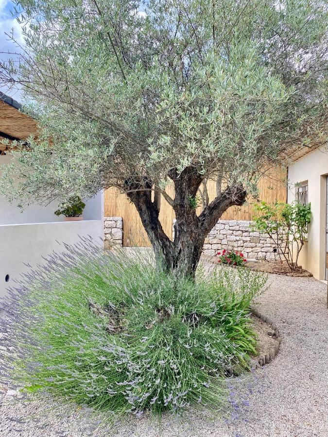 Le Cabanon Valbonne Apartment Екстериор снимка